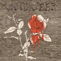 Buy Vandaveer - Oh, Willie, Please... Mp3 Download