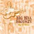Buy Big Bill Broonzy - Big Bill Blues Mp3 Download