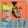 Buy Big Bill Broonzy - The Bill Broonzy Story CD3 Mp3 Download