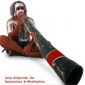 Buy Ash Dargan - Demurru Meditation (Solo Didjeridu For Relaxation And Meditation) Mp3 Download