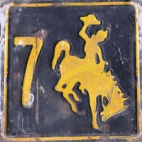 Purchase 7Horse - Let The 7Horse Run