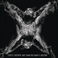 Purchase Chris Brown - Don't Think They Know (CDS)
