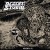 Buy Desert Storm - Horizontal Life Mp3 Download