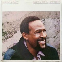 Purchase Marvin Gaye - Dream Of A Lifetime
