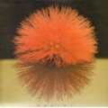 Buy Yutaka Yokokura - Love Light (Vinyl) Mp3 Download
