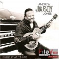 Buy Andrew 'jr. Boy' Jones - I Know What Its Like Mp3 Download