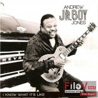 Purchase Andrew 'jr. Boy' Jones - I Know What Its Like