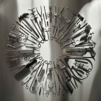 Purchase Carcass - Surgical Steel