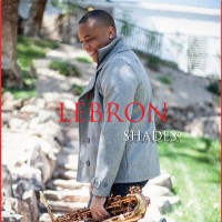Purchase Lebron - Shades