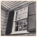 Buy Beach Fossils - What A Pleasure (EP) Mp3 Download