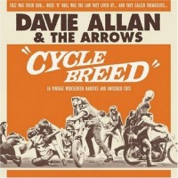 Purchase Davie Allan & The Arrows - Cycle Breed
