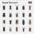 Buy Aaron Sutcliffe - Wavertree Mp3 Download