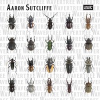 Purchase Aaron Sutcliffe - Wavertree