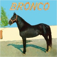 Purchase Bronco - Tu Prieto
