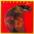 Buy Blackfoot - Strikes (Vinyl) Mp3 Download