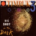 Buy Timbuk 3 - Big Shot In The Dark Mp3 Download