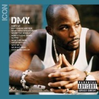 Purchase DMX - Icon: DMX
