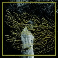 Purchase Forest Swords - Engravings