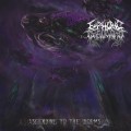 Buy Euphoric Defilement - Ascending To The Worms Mp3 Download