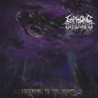 Purchase Euphoric Defilement - Ascending To The Worms