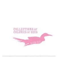 Purchase Collections Of Colonies Of Bees - Birds