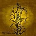Buy Woven Hand - The Laughing Stalk Mp3 Download