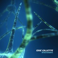 Purchase Eric Gillette - Afterthought
