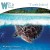 Buy Medwyn Goodall - Turtle Island Mp3 Download