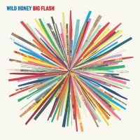 Purchase Wild Honey - Big Flash