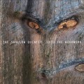 Buy Steve Swallow Quintet - Into The Woodwork Mp3 Download
