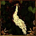 Buy Audrey Assad - Fortunate Fall Mp3 Download