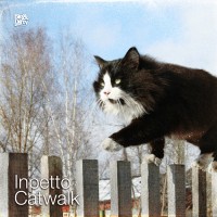 Purchase Inpetto - Catwalk (CDS)