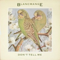 Purchase Blancmange - Don't Tell Me (VLS)