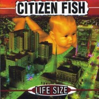 Purchase Citizen Fish - Life Size
