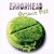 Buy Errorhead - Organic Pill Mp3 Download