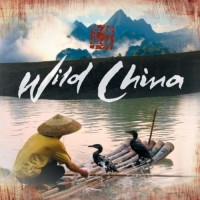 Purchase Barnaby Taylor - Wild China (With BBC Concert Orchestra & The UK Chinese Ensemble)