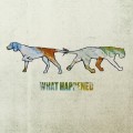 Buy Dog And Panther - What Happened Mp3 Download