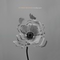 Buy The Naked And Famous - In Rolling Waves (Deluxe Edition) CD1 Mp3 Download
