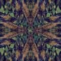 Buy Silver Firs - Silver Firs Mp3 Download