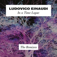 Purchase VA - In A Time Lapse - The Remixes