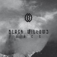 Purchase Black Willows - Haze
