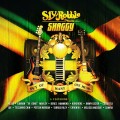 Buy Shaggy - Out Of Many, One Music Mp3 Download