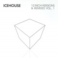 Buy Icehouse - 12 Inch Versions And Remixes Vol. 1 CD1 Mp3 Download