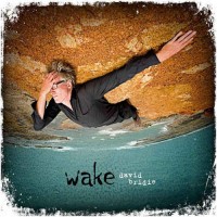 Purchase David Bridie - Wake