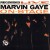 Purchase Marvin Gaye- Marvin Gaye On Stage (Vinyl) MP3