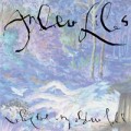 Buy Andrew Liles - Where The Long Shadows Fall Mp3 Download