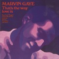 Buy Marvin Gaye - That's The Way Love Is (Vinyl) Mp3 Download