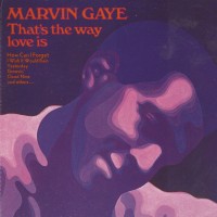 Purchase Marvin Gaye - That's The Way Love Is (Vinyl)