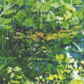 Buy James Blackshaw - Holly (EP) Mp3 Download