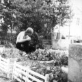 Buy Jandek - Telegraph Melts Mp3 Download
